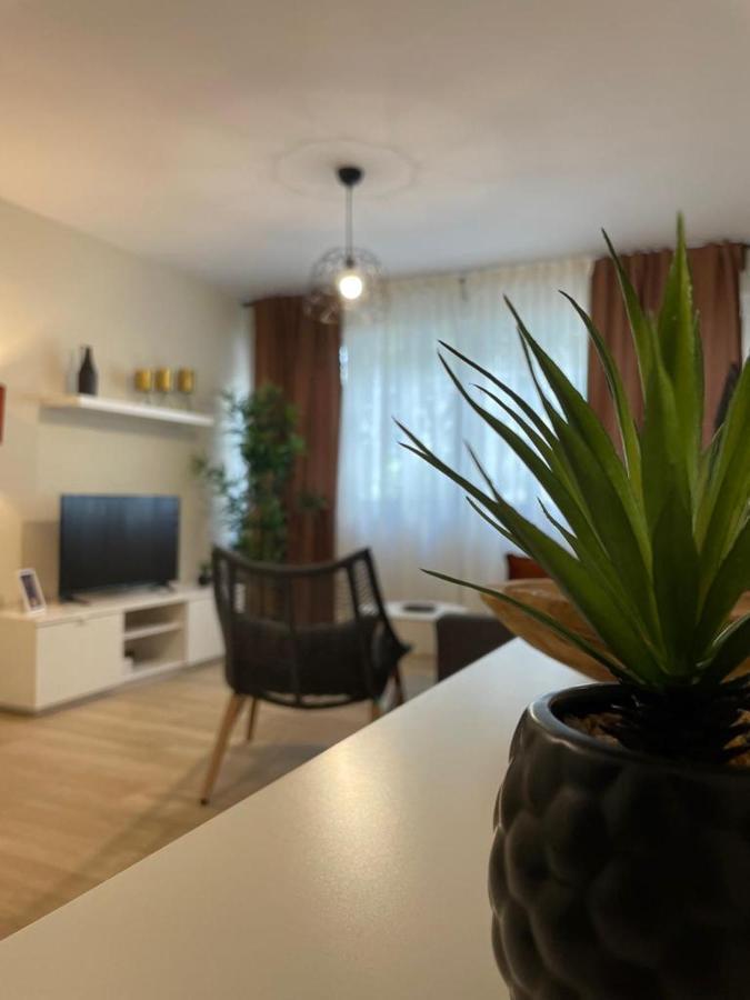Apartamento Jerez 2022 เฮเรซ เด ลาฟรอนเตรา ภายนอก รูปภาพ